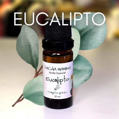 Aceite Esencial de EUCALIPTO grado terapeutico