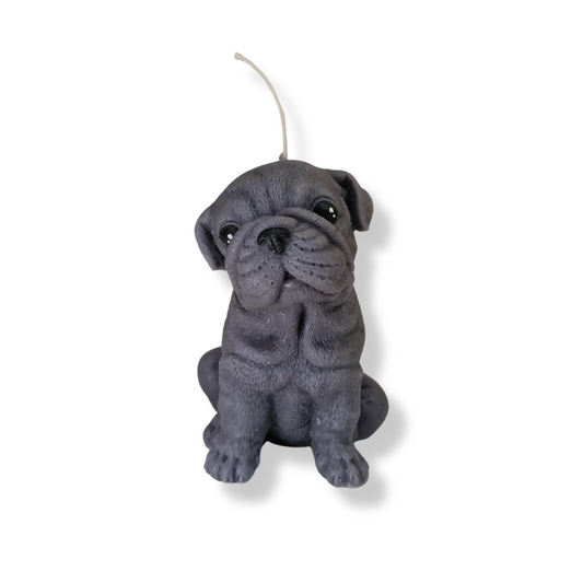 Vela | Bulldog Baby