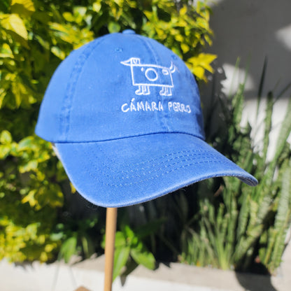 Gorra Camara Perro Azul