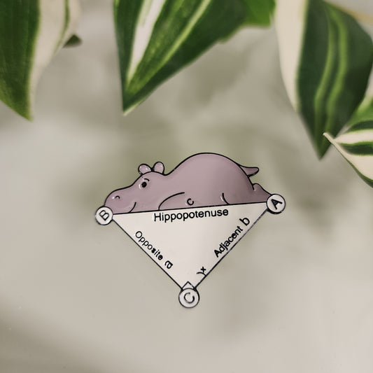 Pin Hopopotenuse