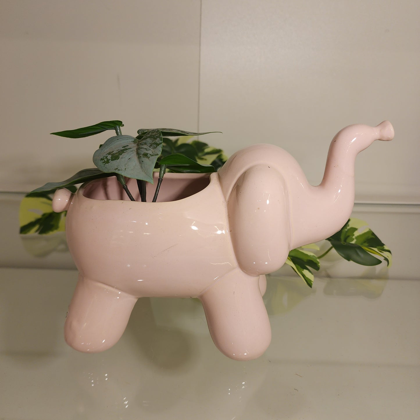 Maceta Elefante Trompon Rosa