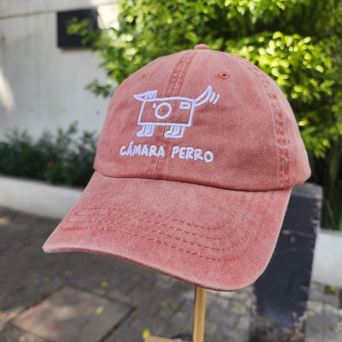 Gorra Camara Perro