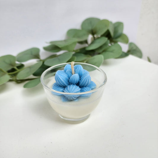 Vela Suculenta Azul con aroma a Citricos