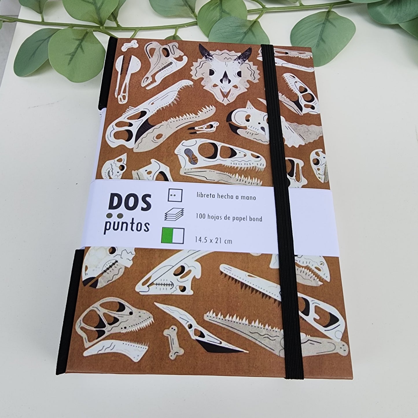 Libreta Craneos Dinos