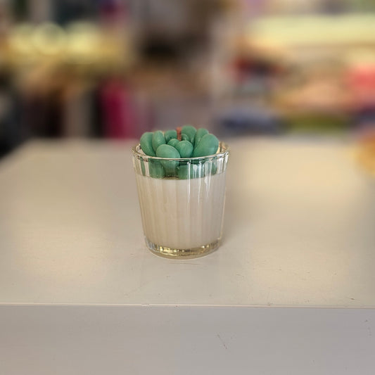 Vela - Mini Suculenta Cítricos