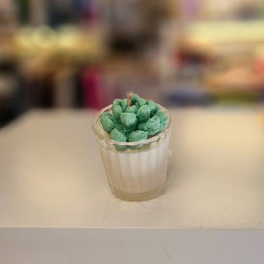 Vela - Mini Suculenta Menta