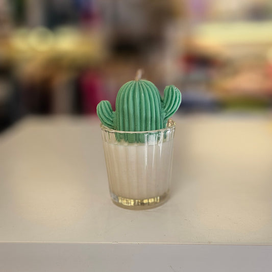 Vela - Mini Suculenta Menta