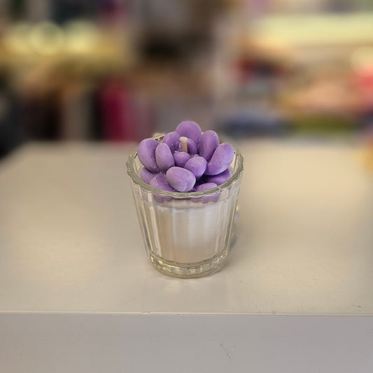Vela - Mini Suculenta Lavanda