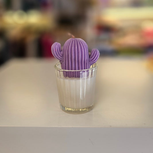 Vela - Mini Suculenta Lavanda