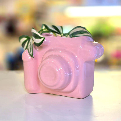 Maceta Cámara Rosa