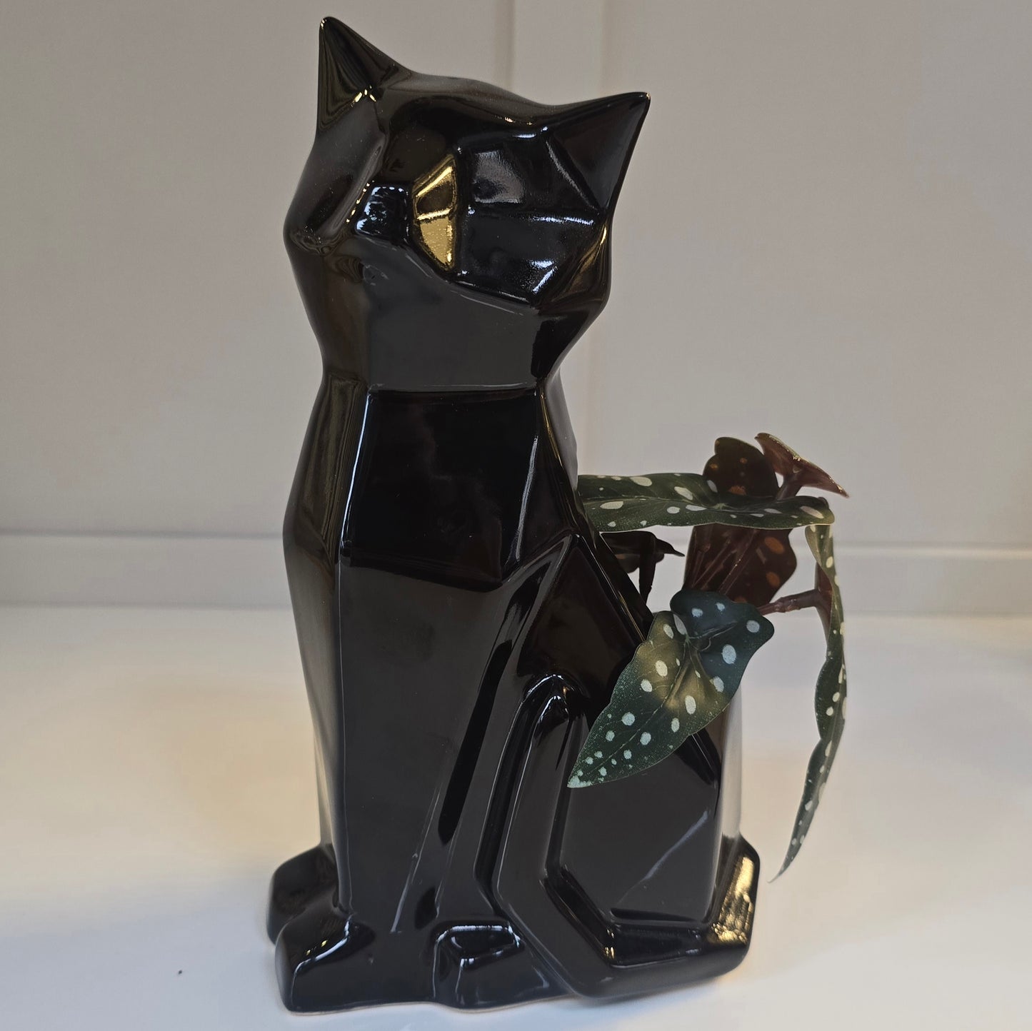 🐱 Maceta Gato Geométrico – Negro Brillante
