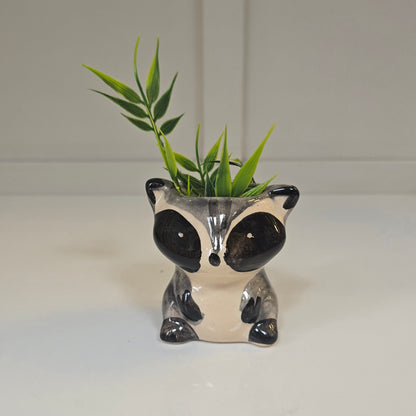 🦝 Maceta Mapache Mini – Esmaltado a Mano