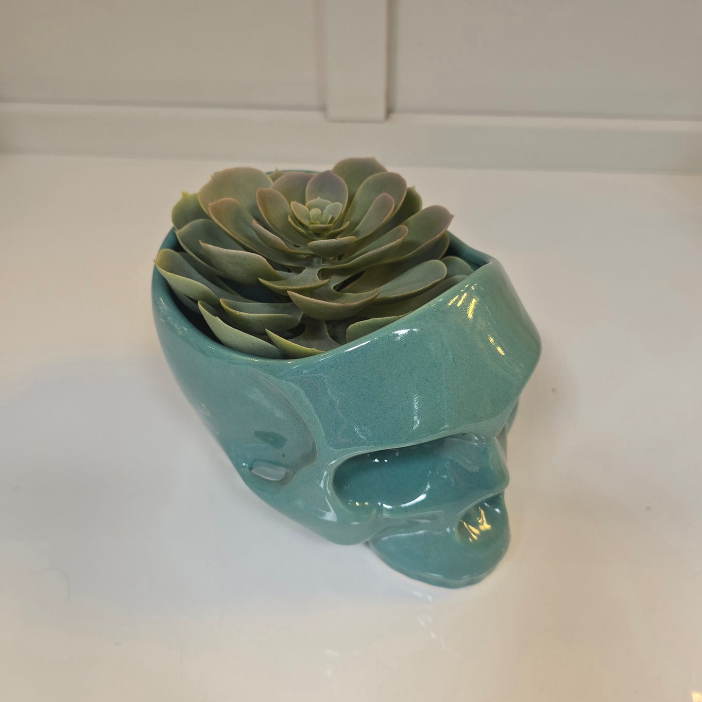 💀 Maceta Calavera Turquesa – Edición Pop
