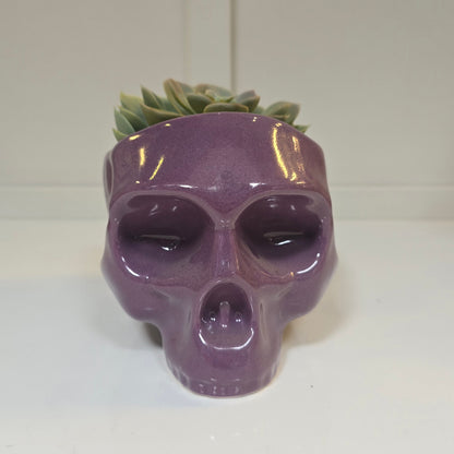 💀 Maceta Calavera Lila – Edición Rebel Glam