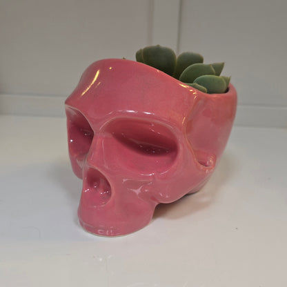 💀 Maceta Calavera Rosa – Edición Sweet Rebel