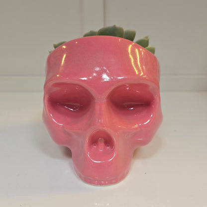 💀 Maceta Calavera Rosa – Edición Sweet Rebel