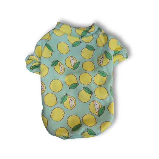 🍋 Sudadera Limones Sin Gorro