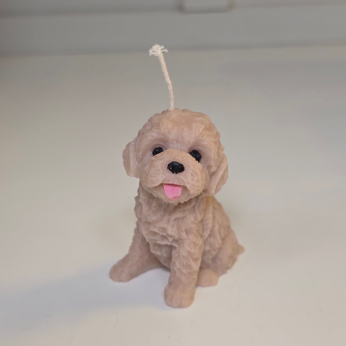 🐶🐾 Perrito Beige Pelo Rizado