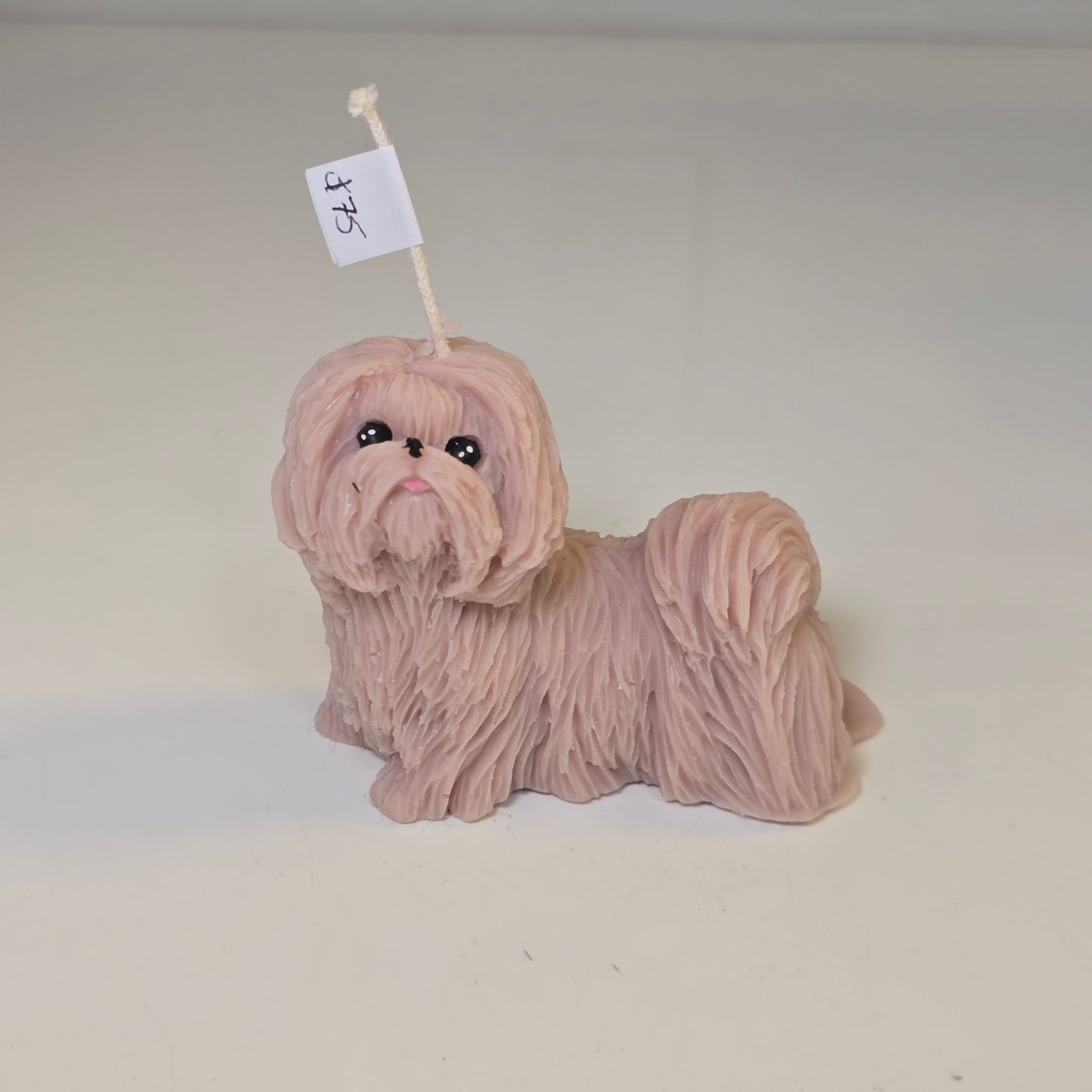 🐶💖 Vela perrito chuiquito peludo