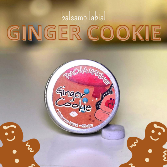 Bálsamo Labial GALLETA DE GENGIBRE
