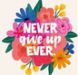 Paint by Diamonds - Never Give UP