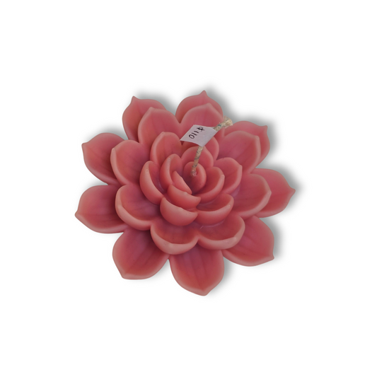 🪷 Vela flor de loto - Rosa