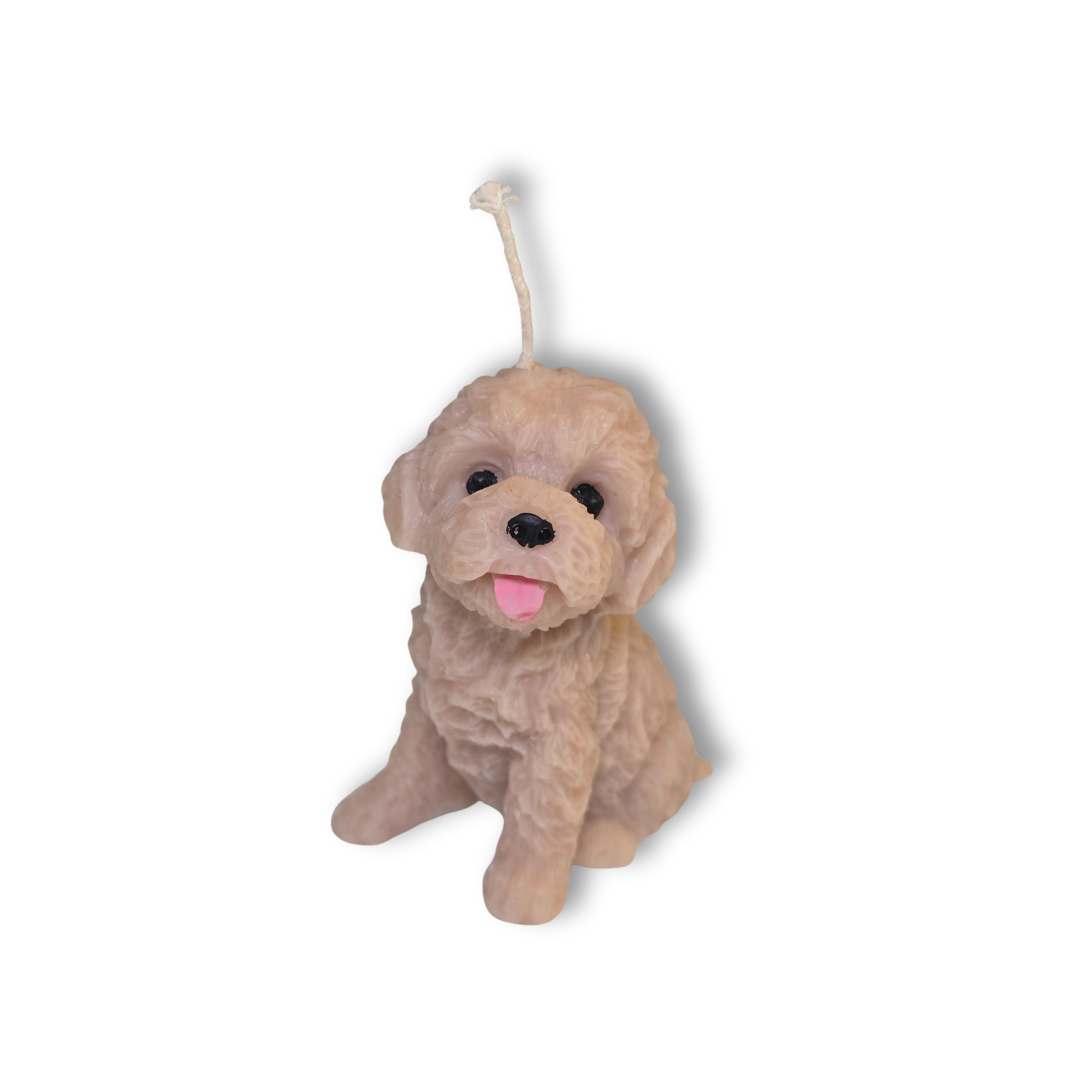 🐶🐾 Perrito Beige Pelo Rizado