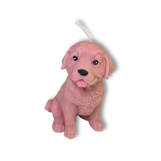 🐶💛 Vela perrito sonriente con lengüita