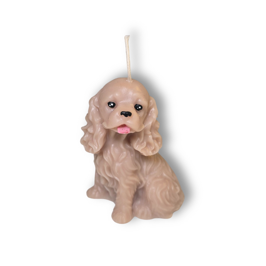 🐶🩷 Perrito Beige Orejas Largas