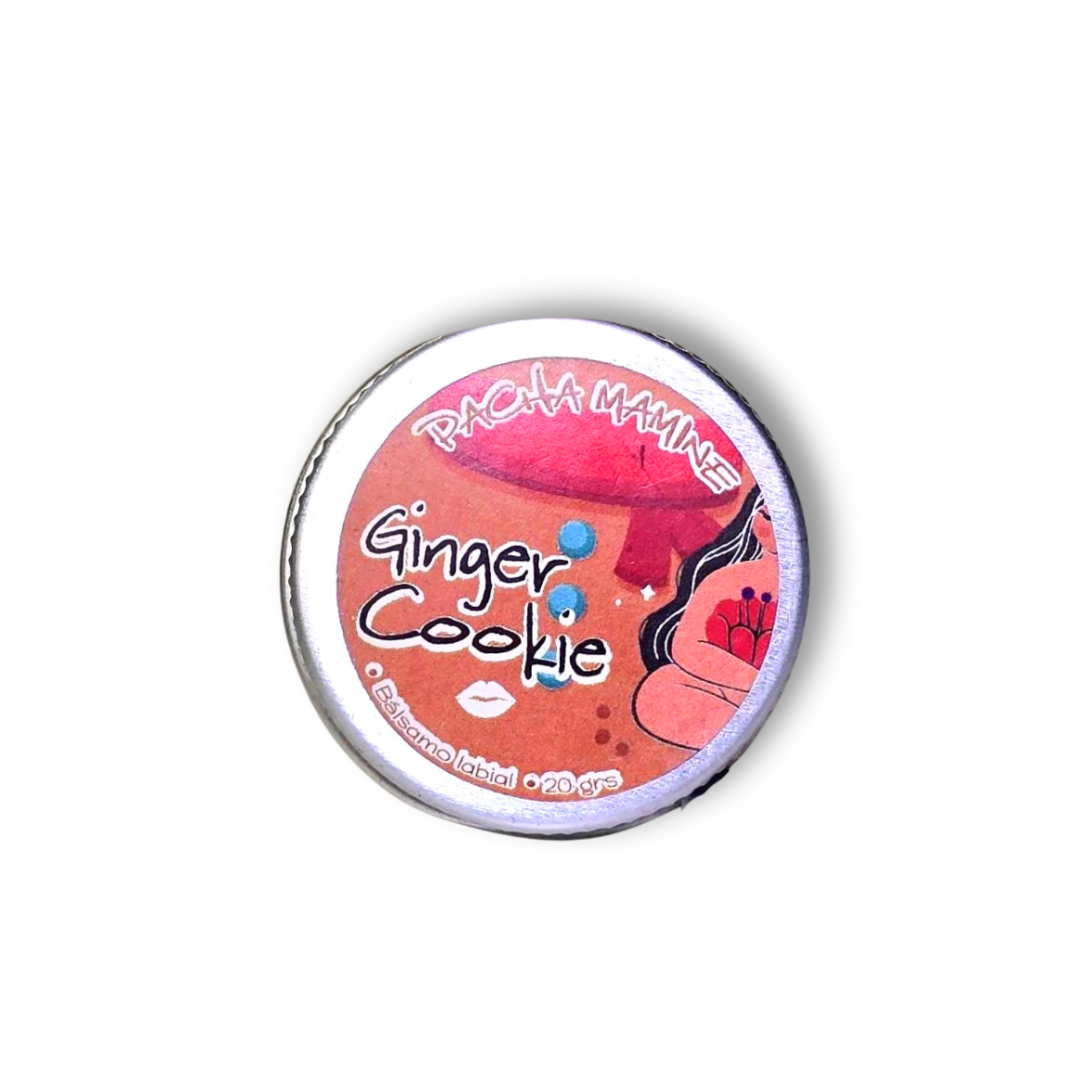 Bálsamo Labial GALLETA DE GENGIBRE