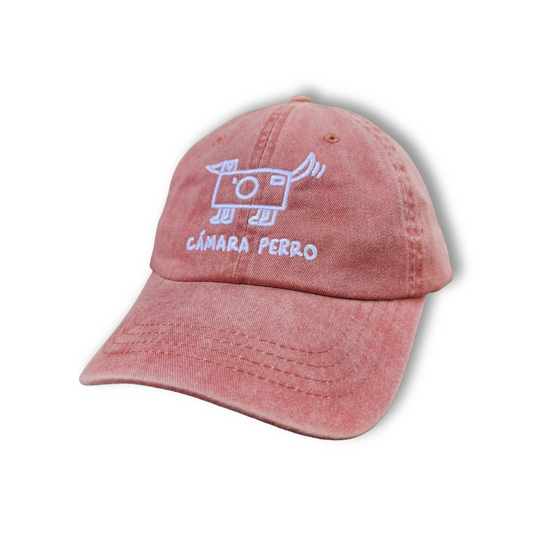 Gorra Camara Perro