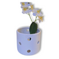 🤍🌼 Maceta Orquídea Blanco Brillante – Minimalista, pura y con estilo propio