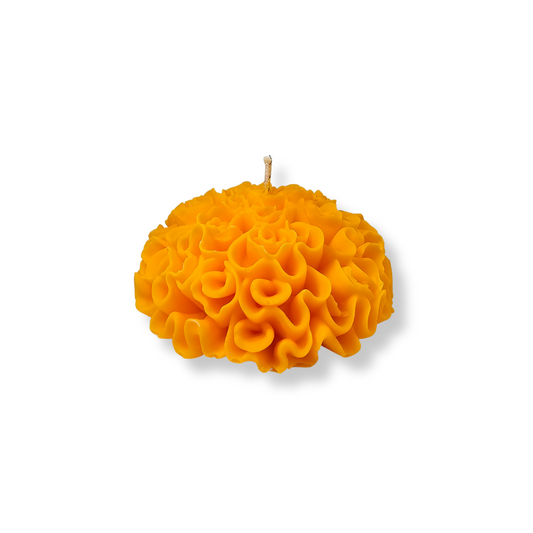 🌼 Vela Cempasúchil