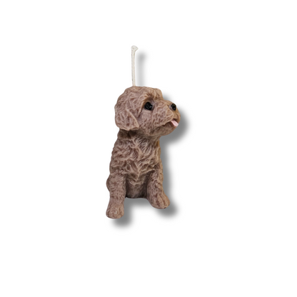 🐶🐾 Perrito Café Clarito Pelo Rizado