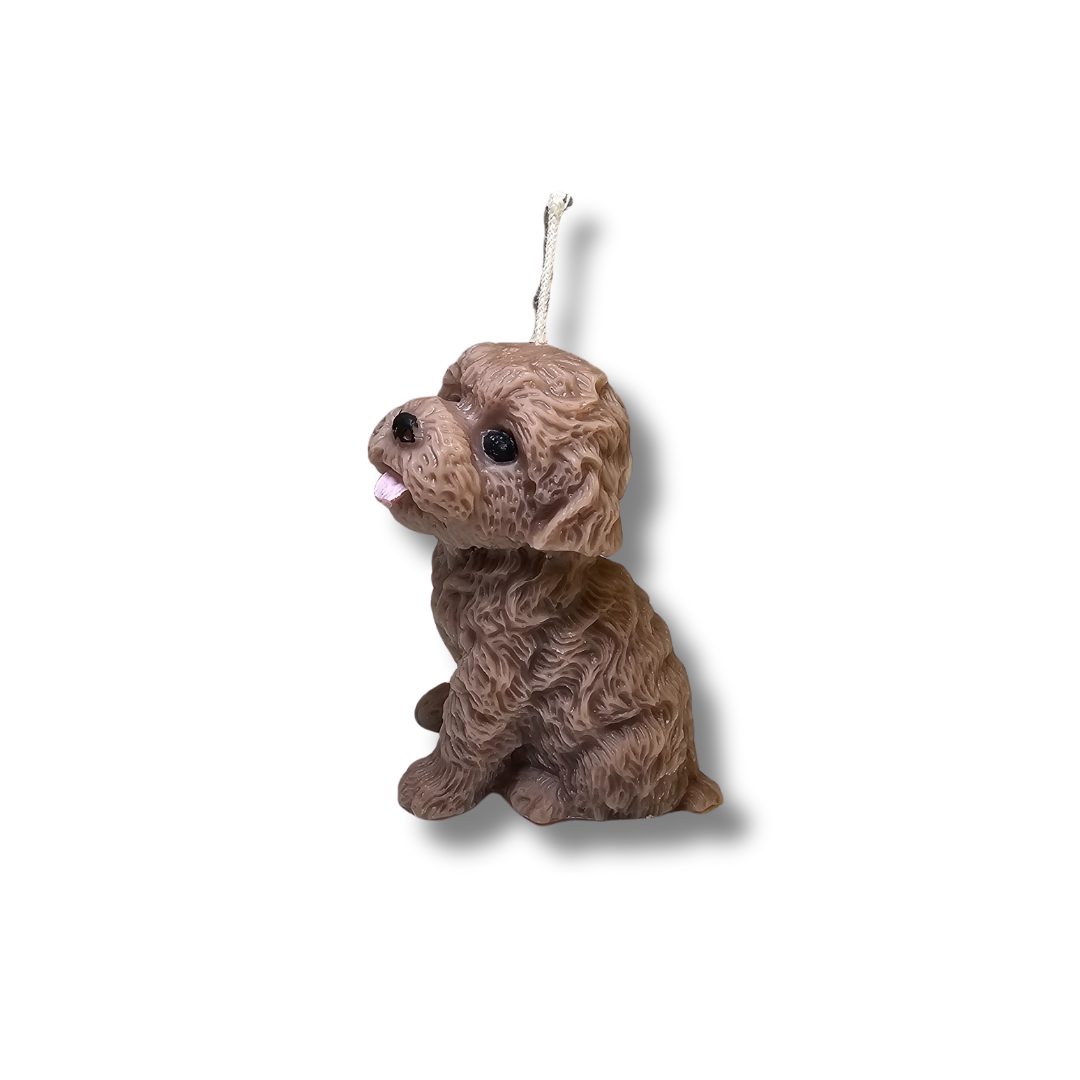 🐶🐾 Perrito Café Clarito Pelo Rizado