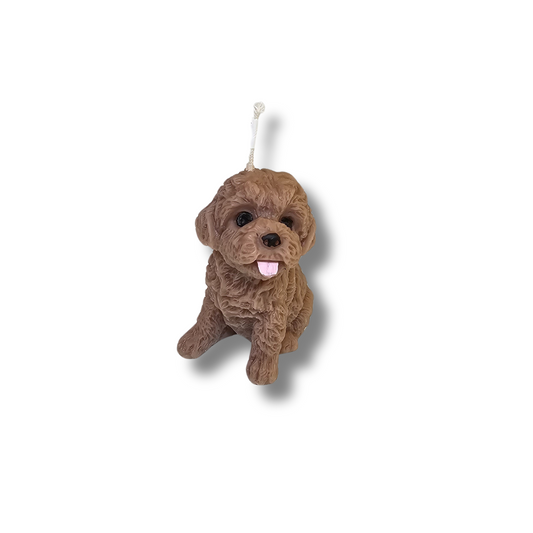 🐶🐾 Perrito Café Clarito Pelo Rizado
