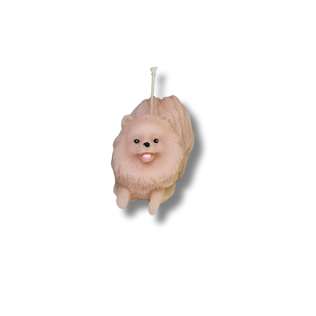 🐕✨ Perrito Pomerania Café Clarito