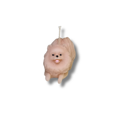 🐕✨ Perrito Pomerania Café Clarito