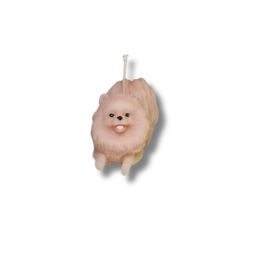 🐕✨ Perrito Pomerania Café Clarito