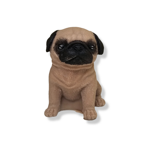 ✨ Don Pugberto ✨