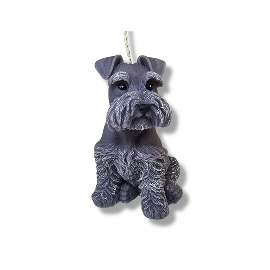 🐾 💛 Vela Perrito Bigotón Gris