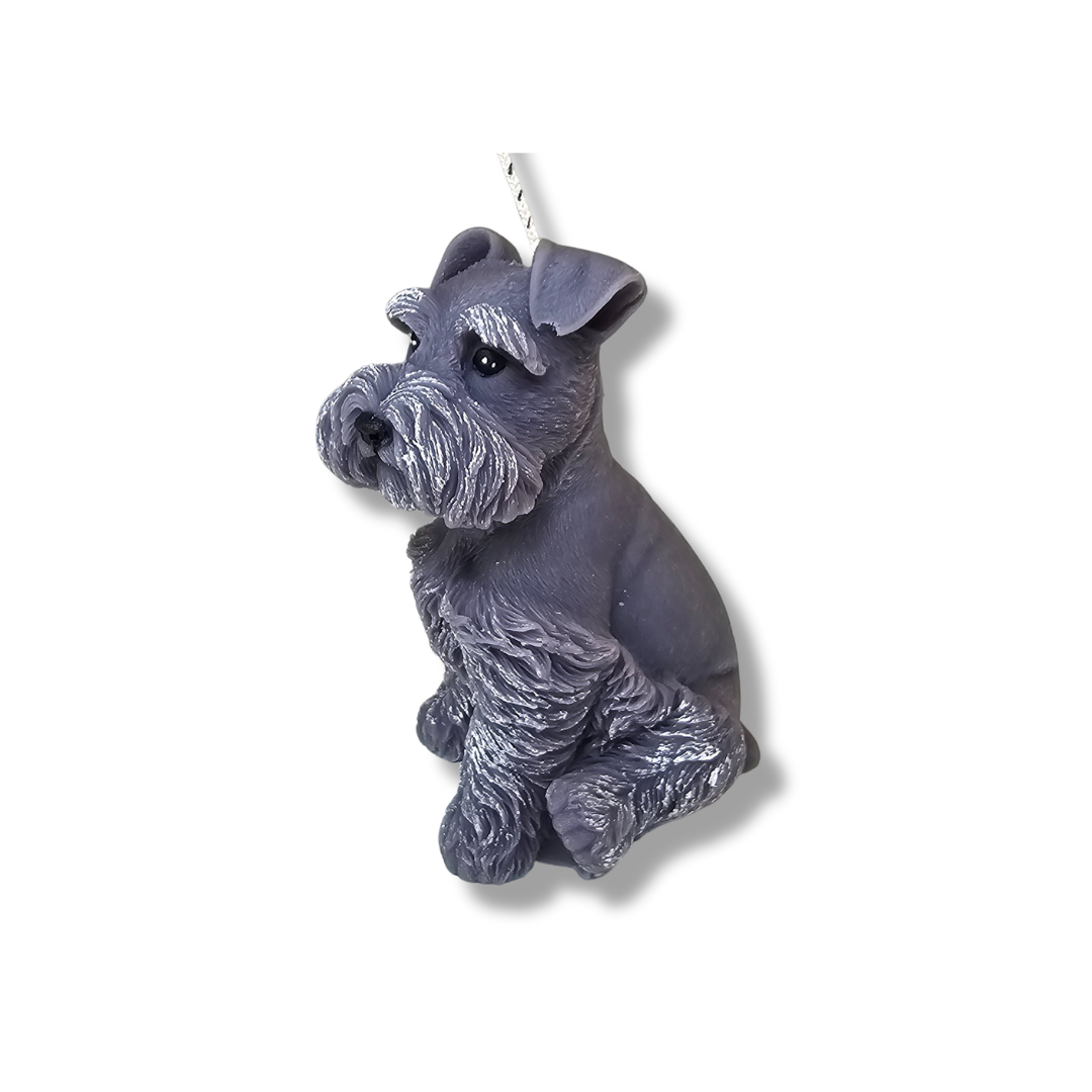 🐾 💛 Vela Perrito Bigotón Gris