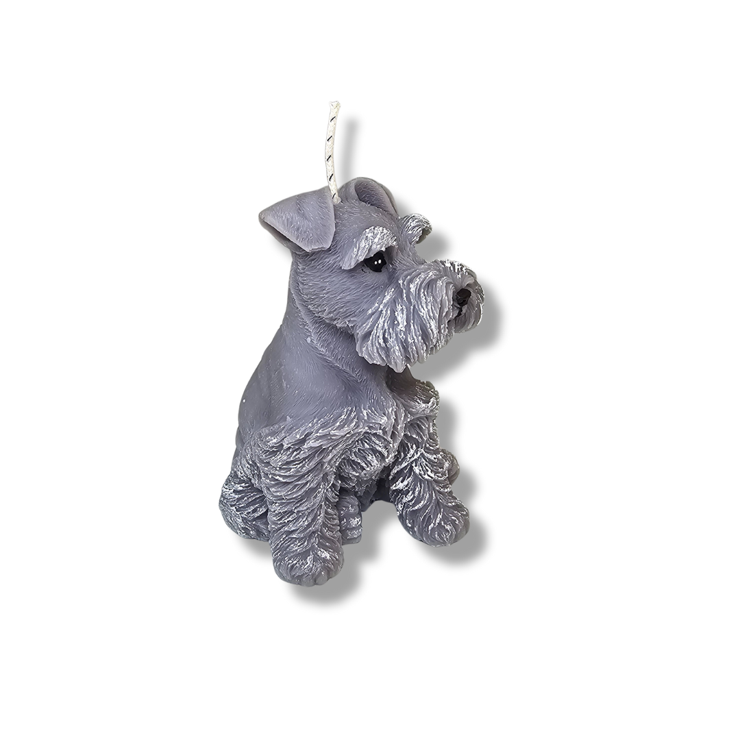 🐾🐶Vela Perrito Bigotón Gris Clarito
