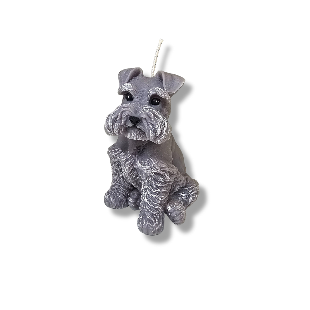 🐾🐶Vela Perrito Bigotón Gris Clarito