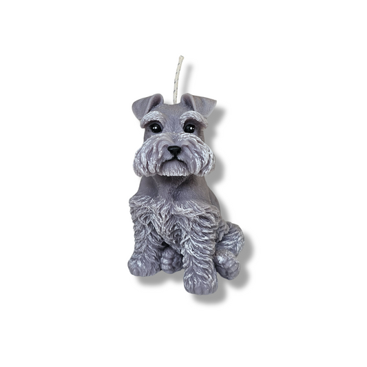 🐾🐶Vela Perrito Bigotón Gris Clarito