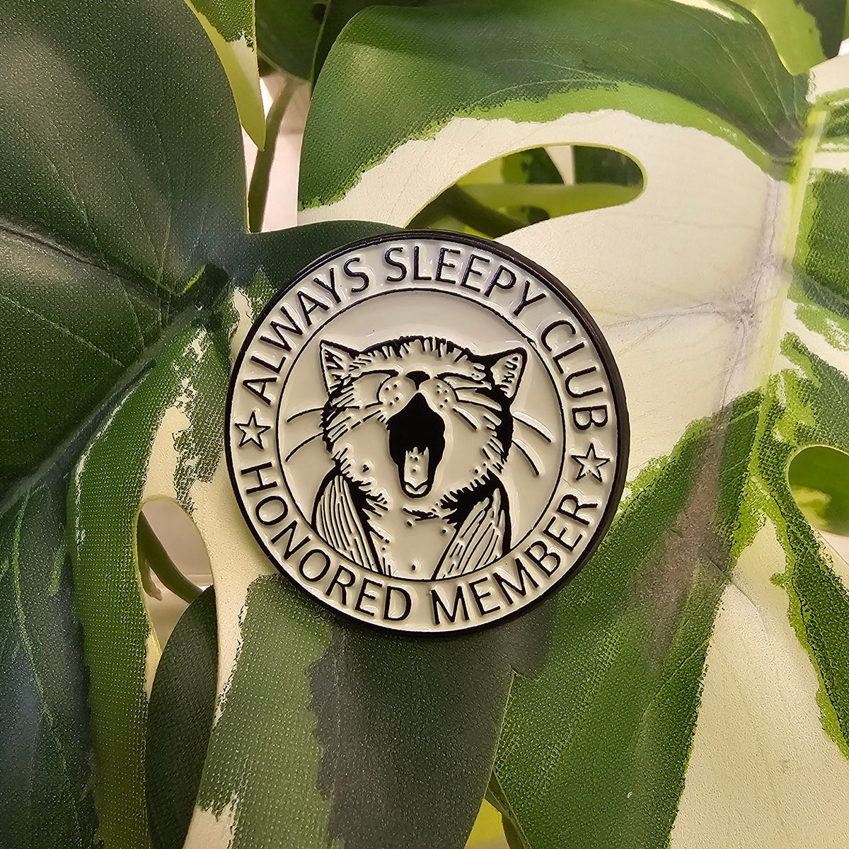 Pin | Always Sleepy Club