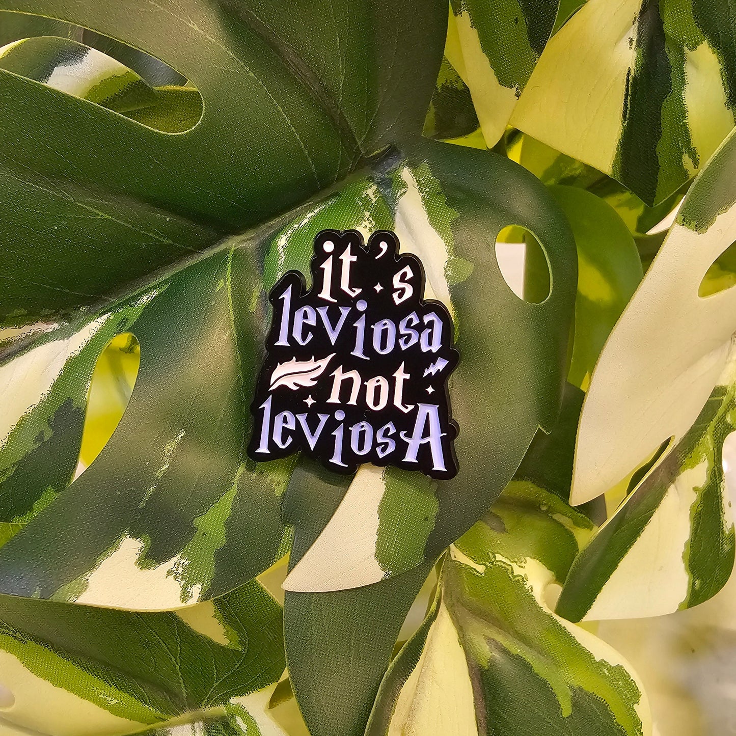 Pin | it's leviosa no leviosA
