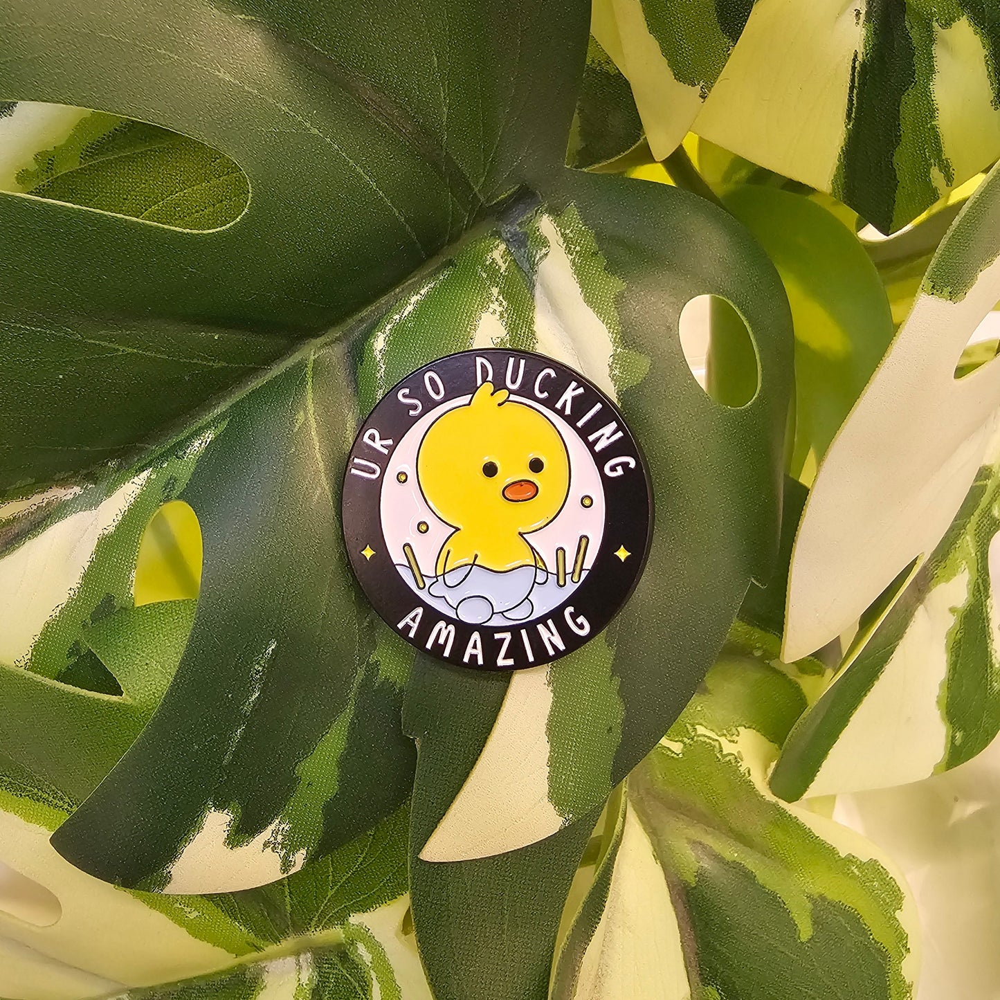 Pin | Ducking Amazing