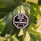 Pin | Nivel de Paciencia