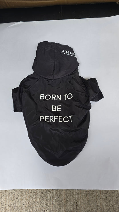Chamarra Born To Be Perfect Negra Para Perrito